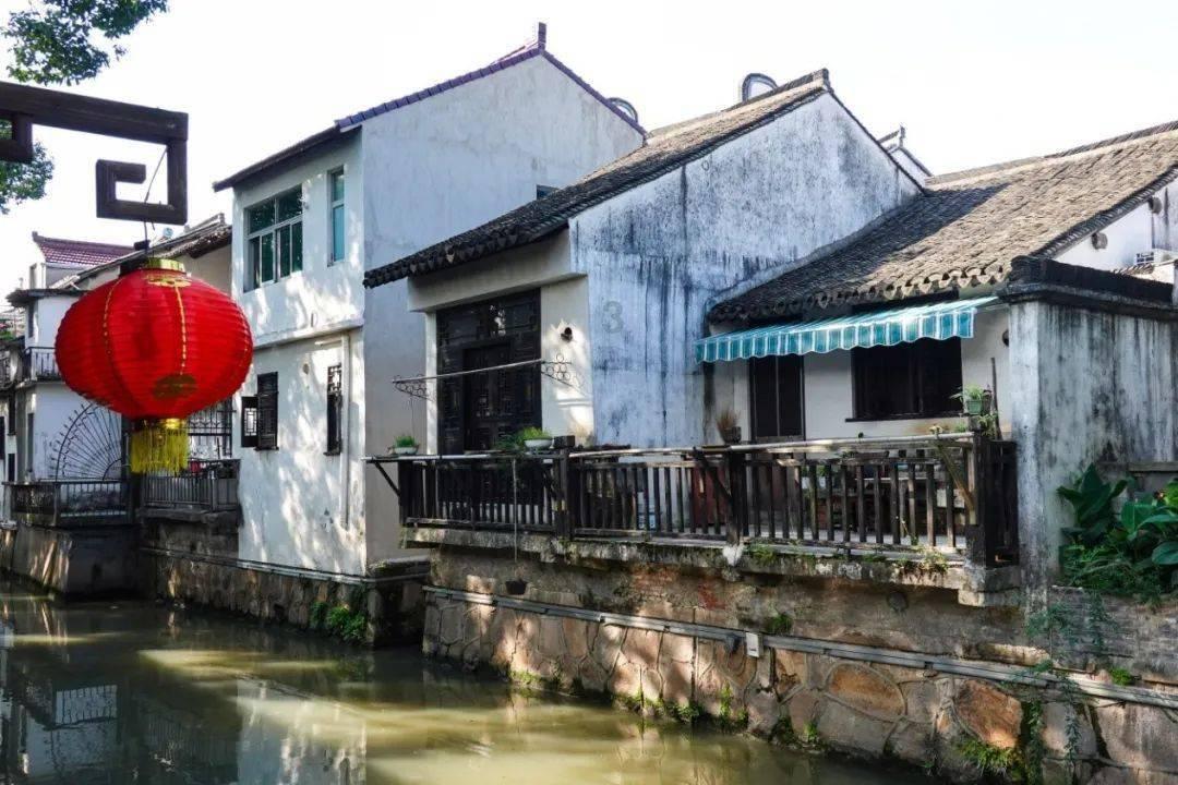 活的小鸭子能过安检带上动车吗？就一只好小的游戏画面